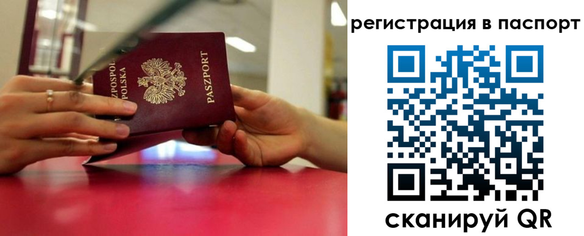 пропишу в квартире в Зеленоградске